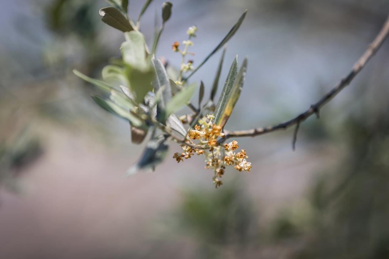 Appartamento Alvavista2 Τρέβι Εξωτερικό φωτογραφία